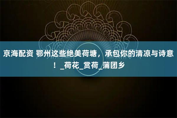 京海配资 鄂州这些绝美荷塘，承包你的清凉与诗意！_荷花_赏荷_蒲团乡