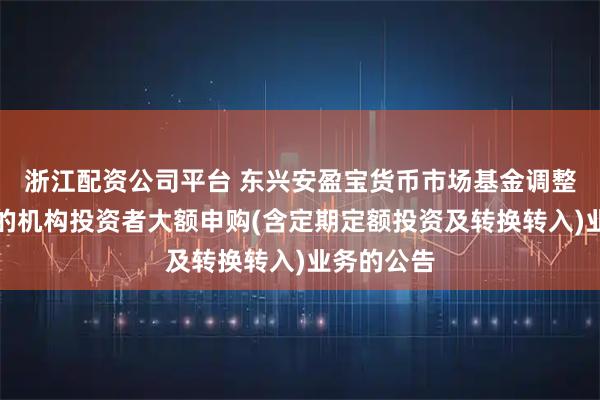 浙江配资公司平台 东兴安盈宝货币市场基金调整代销机构的机构投资者大额申购(含定期定额投资及转换转入)业务的公告