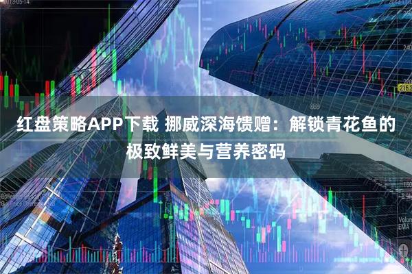 红盘策略APP下载 挪威深海馈赠：解锁青花鱼的极致鲜美与营养密码