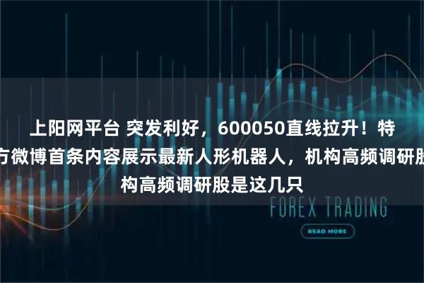上阳网平台 突发利好，600050直线拉升！特斯拉AI官方微博首条内容展示最新人形机器人，机构高频调研股是这几只